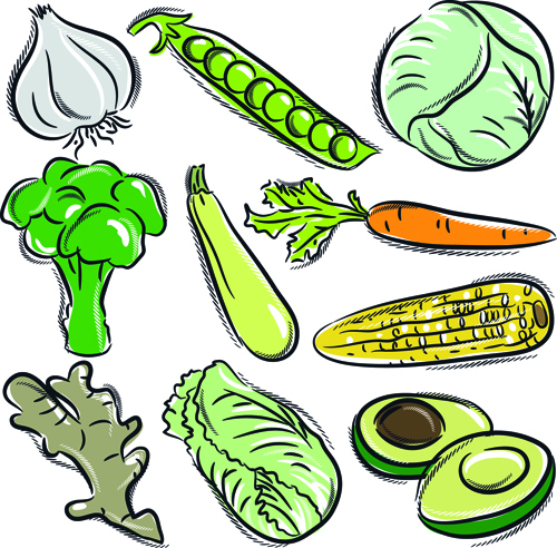 Sorts of hand drawing vegetables vector set 02