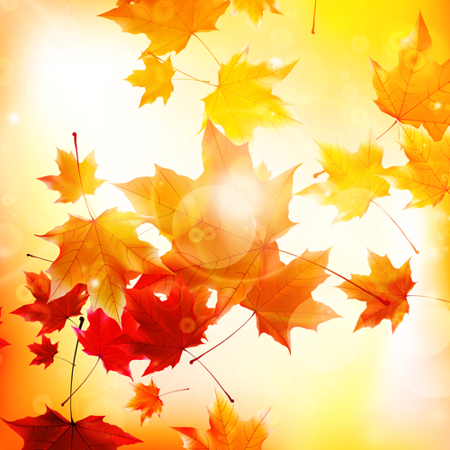 Sunlight with autumn leaves background graphics 02