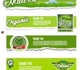 Torn paper eco style banners vector 02