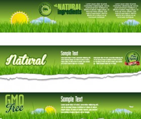 Torn paper eco style banners vector 03