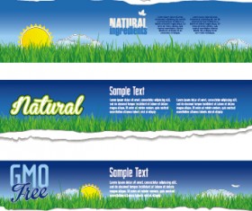 Torn paper eco style banners vector 04