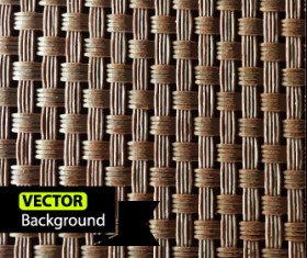 Vine braid background vector