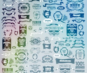 Vintage calligraphic ribbon with labels vector 01