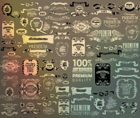 Vintage calligraphic ribbon with labels vector 02