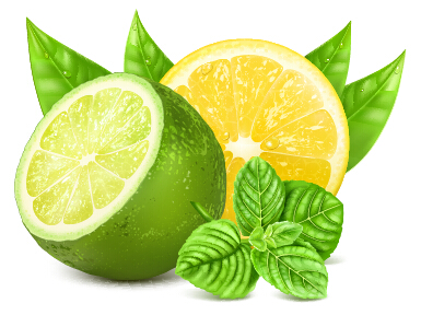 Yellow lemon and green lemon vector
