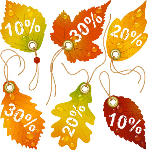 Autumn leaves discounts tags vector
