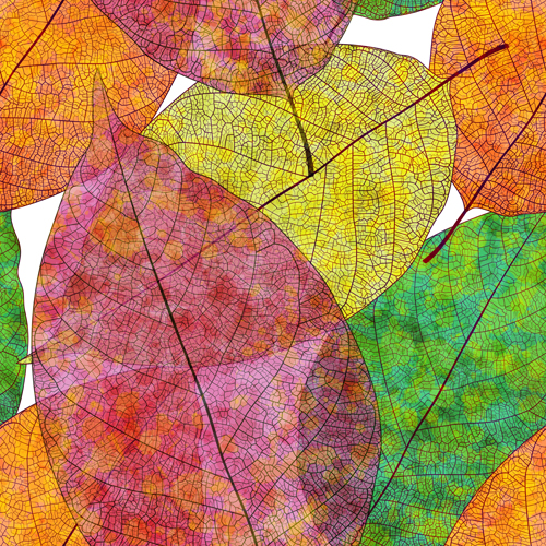 Beautiful autumn leaves vector seamless pattern 01