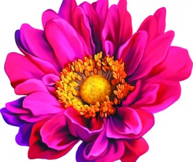 Beautiful flower set vector material 01