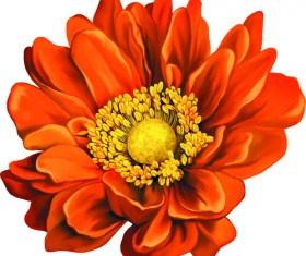 Beautiful flower set vector material 02