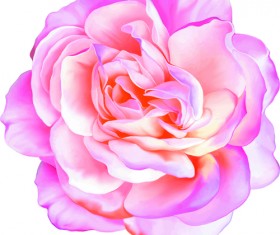 Beautiful flower set vector material 04