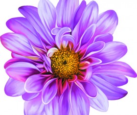 Beautiful flower set vector material 06