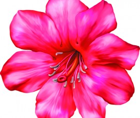 Beautiful flower set vector material 07