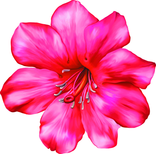 Beautiful flower set vector material 07 free download