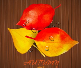 Creative watercolor leaves autumn background vector 02