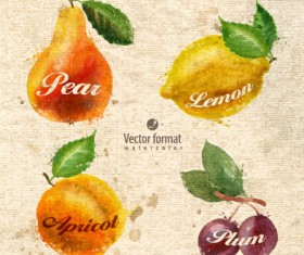 Drawn watercolor fruits vector design set 01