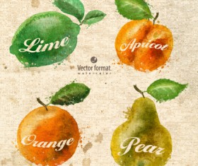Drawn watercolor fruits vector design set 02
