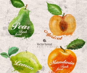 Drawn watercolor fruits vector design set 03
