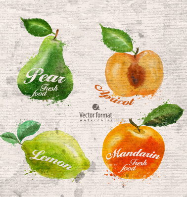 Drawn watercolor fruits vector design set 03
