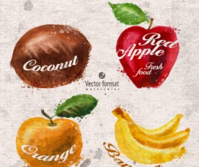 Drawn watercolor fruits vector design set 04