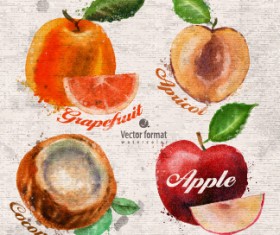 Drawn watercolor fruits vector design set 05