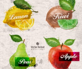 Drawn watercolor fruits vector design set 06