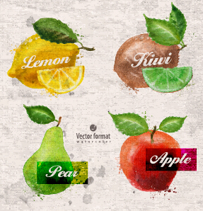 Drawn watercolor fruits vector design set 06