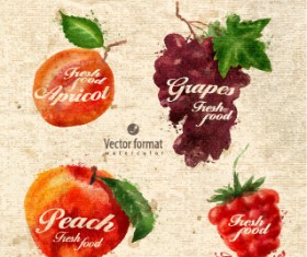 Drawn watercolor fruits vector design set 07