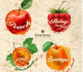 Drawn watercolor fruits vector design set 08