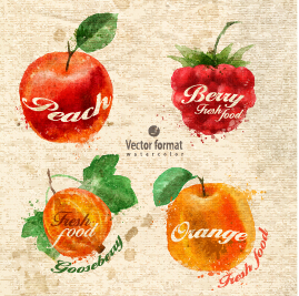 Drawn watercolor fruits vector design set 08