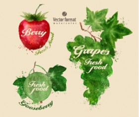 Drawn watercolor fruits vector design set 09