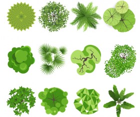 Green herbs and spices icons vector