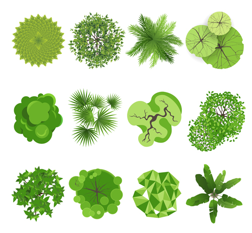Green herbs and spices icons vector