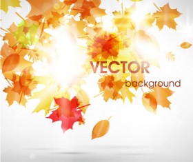 Halation autumn leaves art background vector 01
