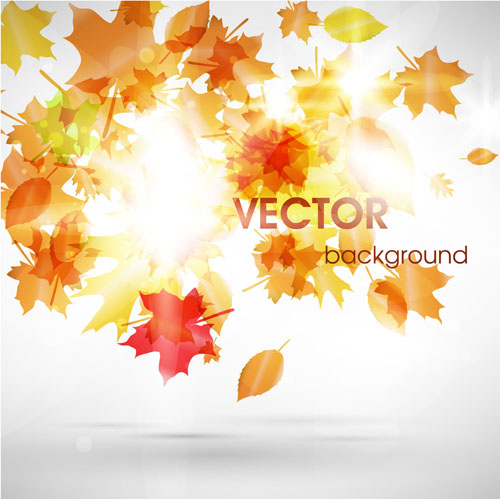 Halation autumn leaves art background vector 01