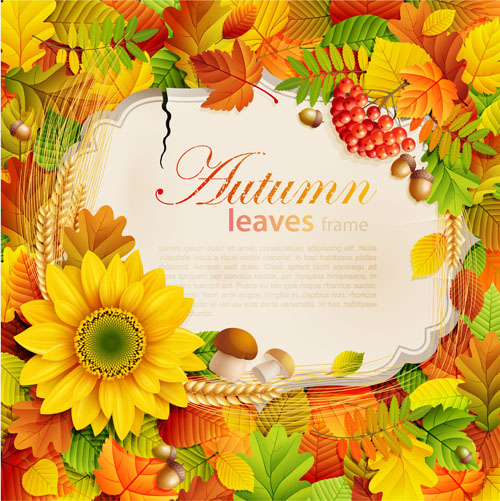 Halation autumn leaves art background vector 02