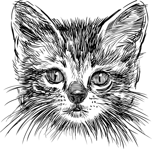 Hand drawing black kittens vector 01