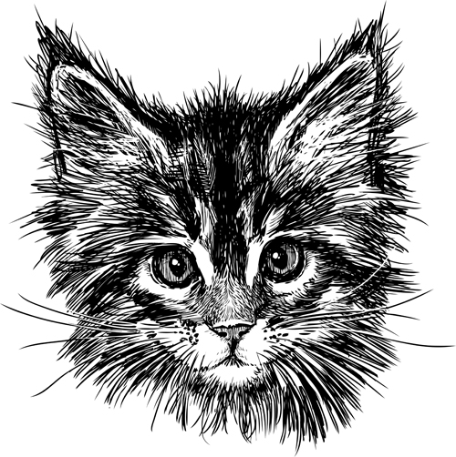 Hand drawn cats head vector set 01
