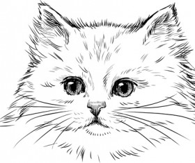 Hand drawn cats head vector set 02