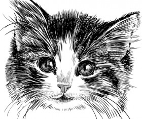 Hand drawn cats head vector set 03
