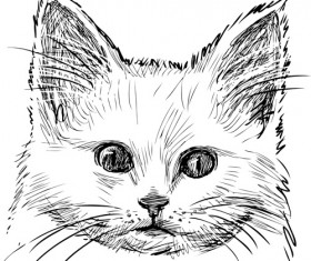 Hand drawn cats head vector set 04