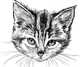 Hand drawn cats head vector set 05