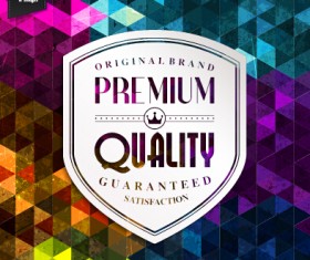 Premium quality labels with grunge background vector 02