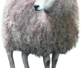Realistic sheep vector material