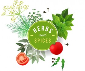 Refreshing herbs and spices vector background 01