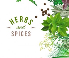 Refreshing herbs and spices vector background 03