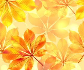 Sunlight with autumn leaves seamless pattern vector