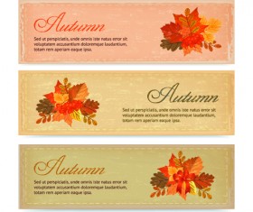 Vintage autumn leaves vector banners 02