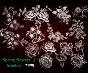Spring Flowers Brushes