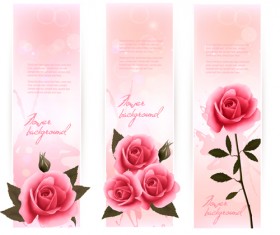 Beautiful rose vertical banner vector