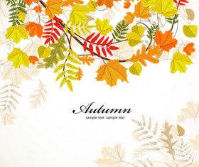 Colored autumn leaves backgrounds vector